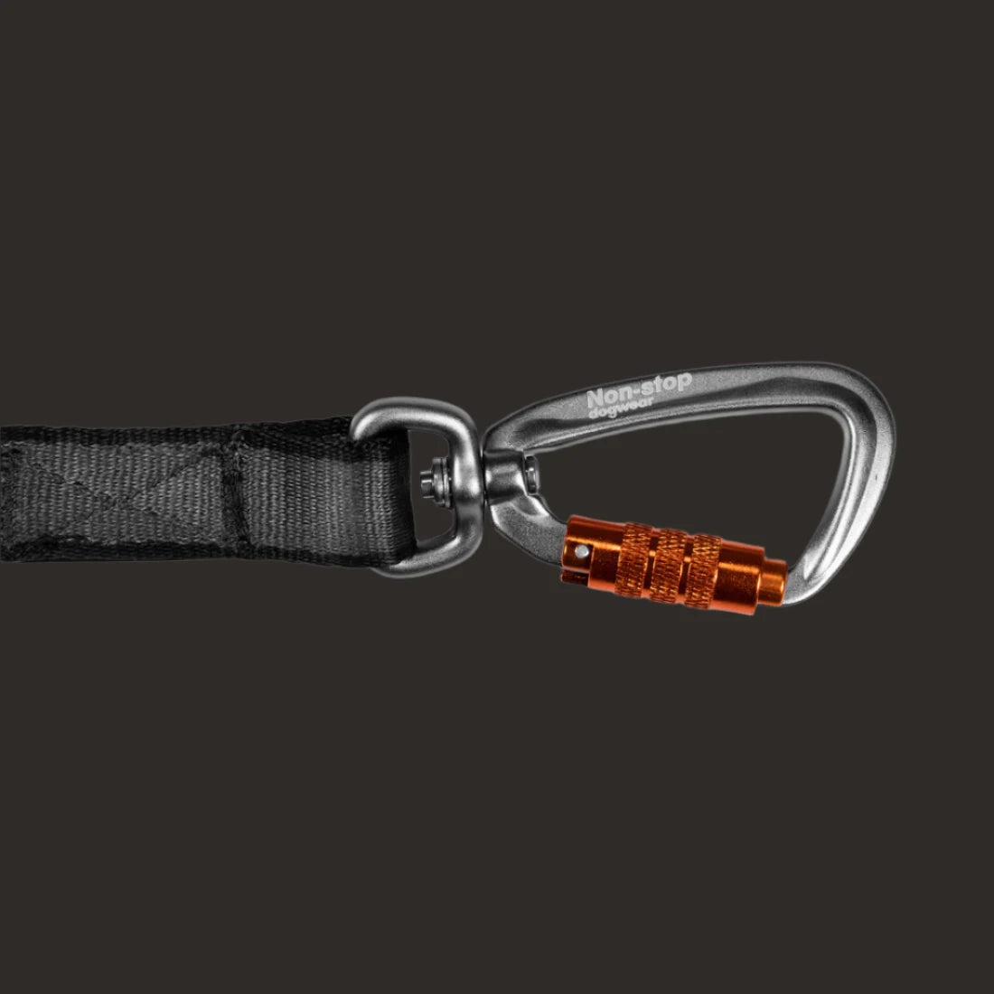 MOVE LEASH