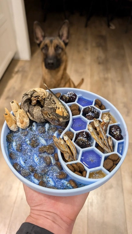 TOPPER AV KOKOS & BLÅ SPIRULINA