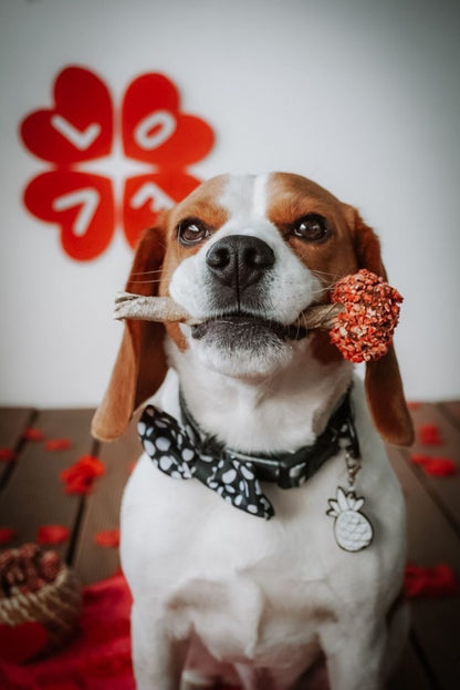 LOLLIPOP