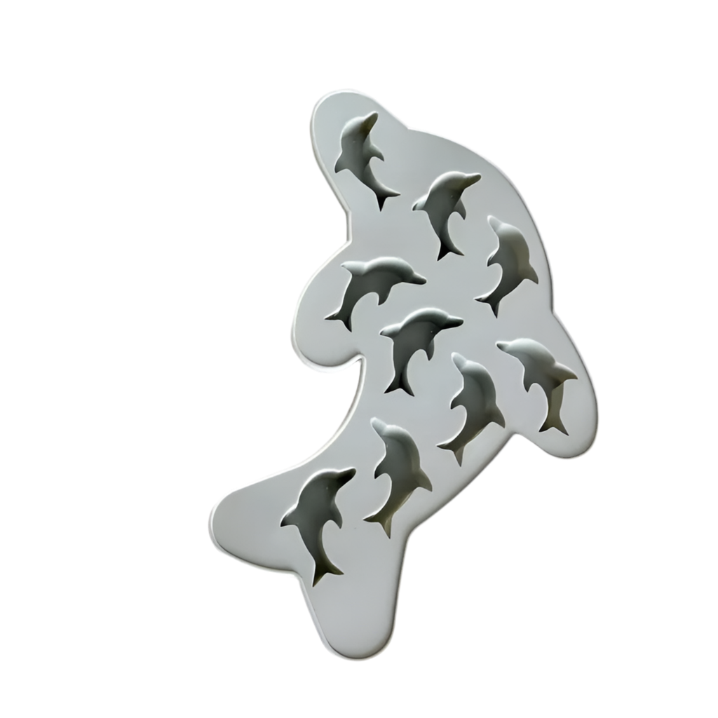 DELFINFORM