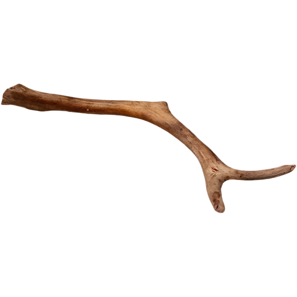REINSDYRGEVIR