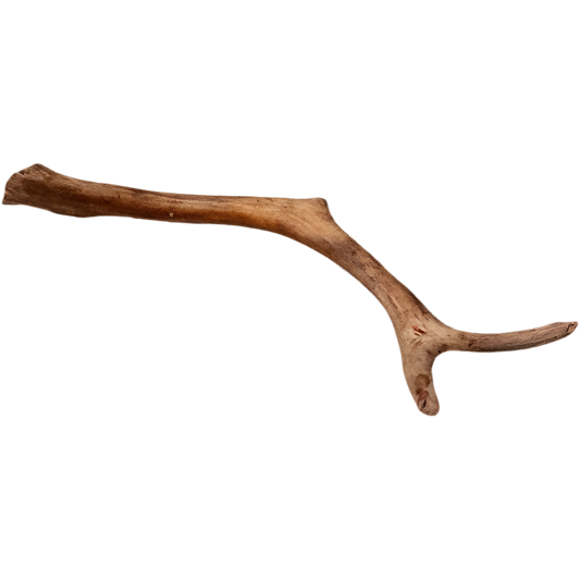 REINSDYRGEVIR