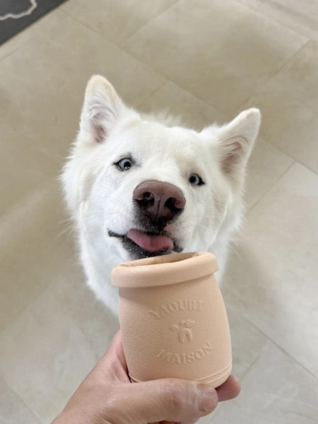 YOOMY POT