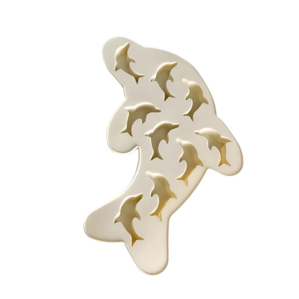 DELFINFORM