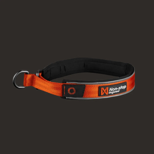 CRUISE COLLAR