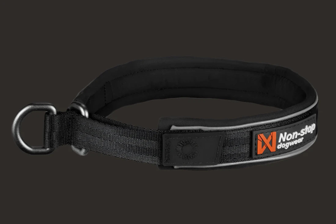 CRUISE COLLAR
