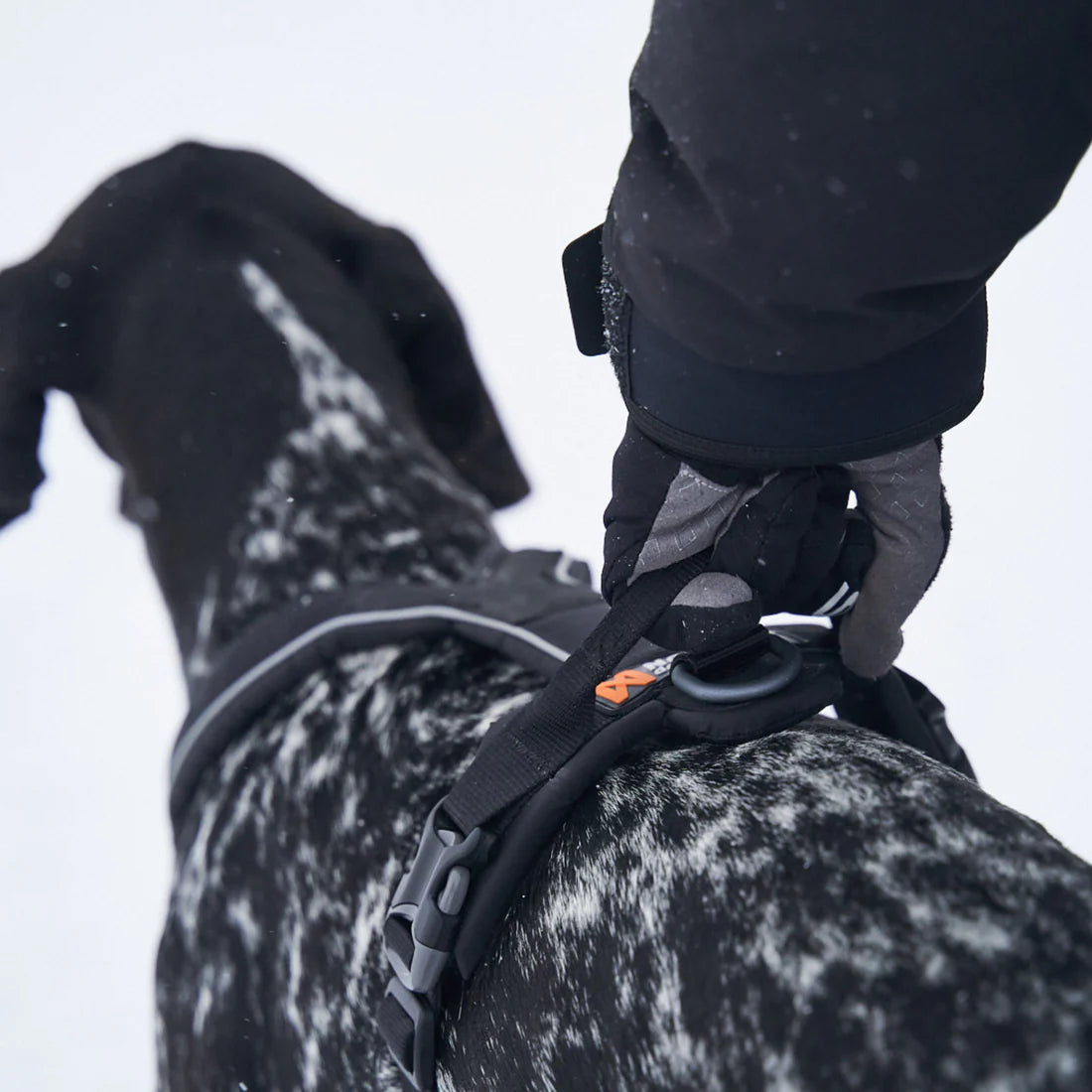 LINE HARNESS GRIP
